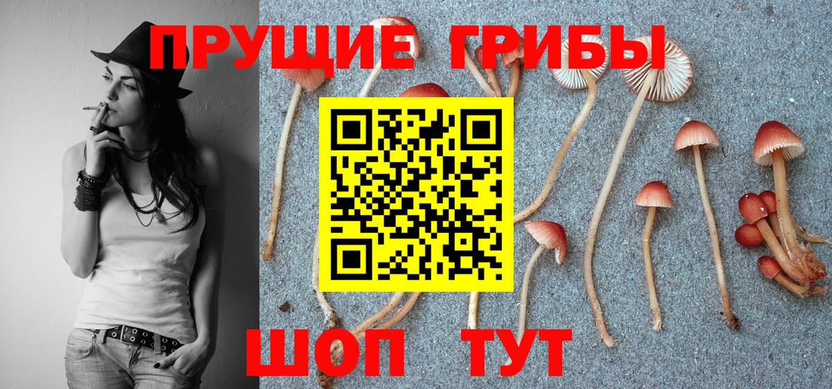 Галлюциногенные грибы прущие грибы  Вход с VPN  Белорецк 